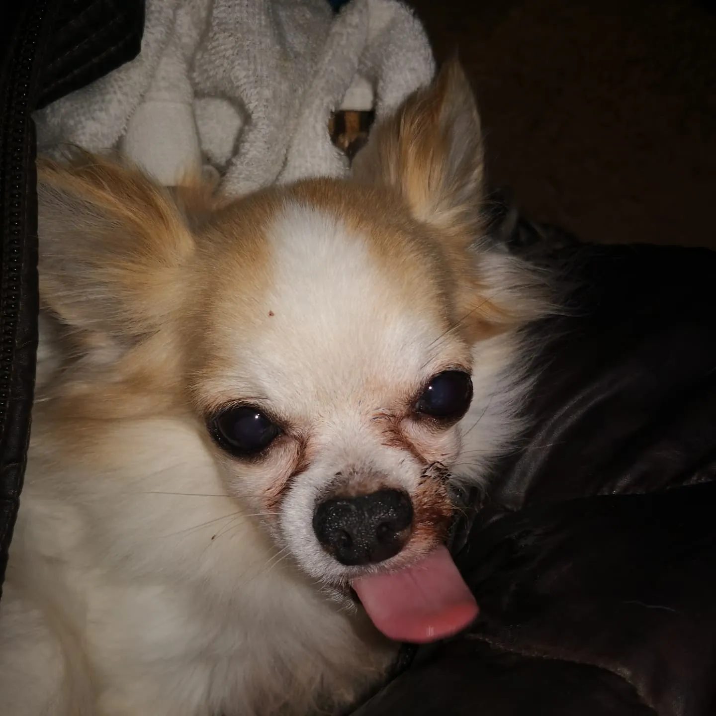 熊本市のフードバークピポです