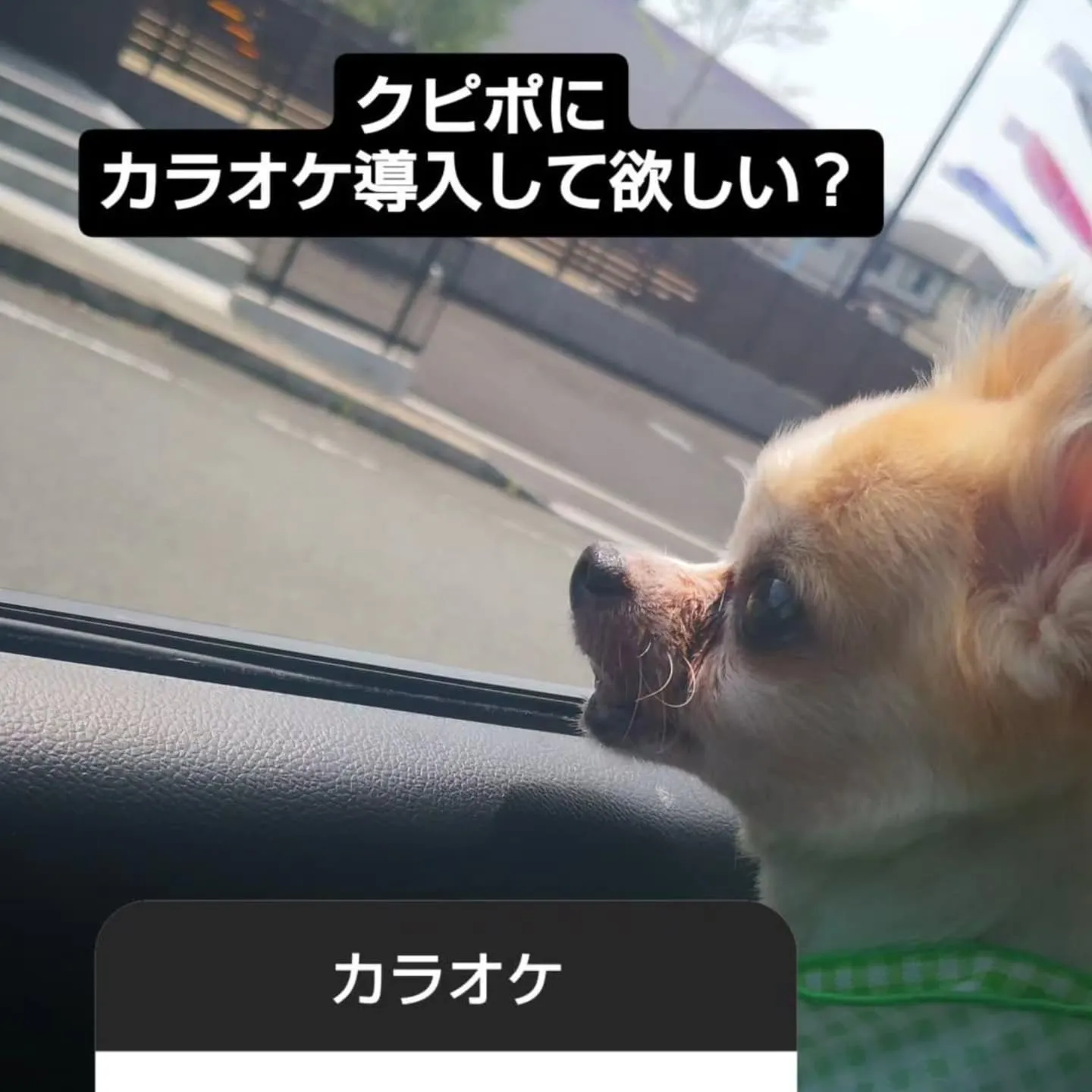 フードバークピポです