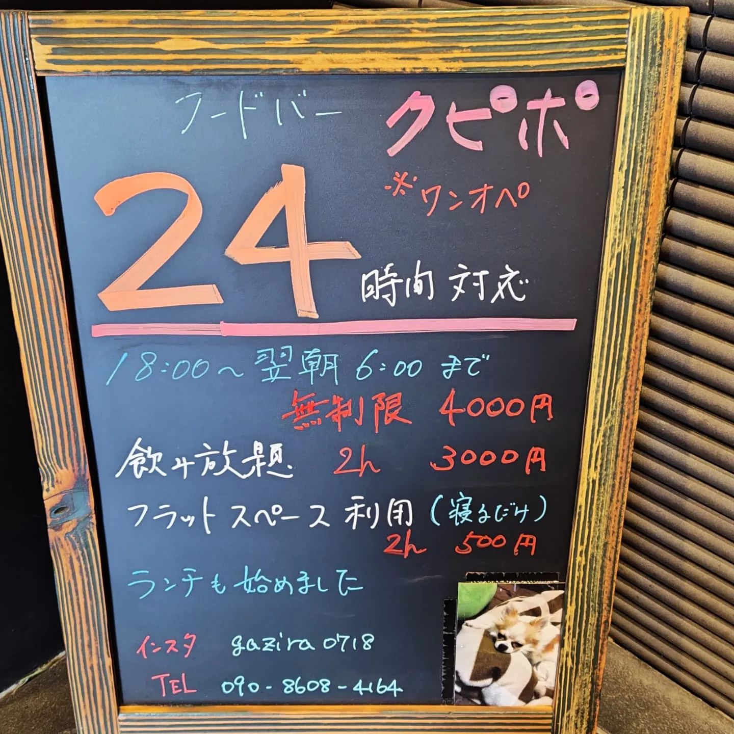 フードバークピポです