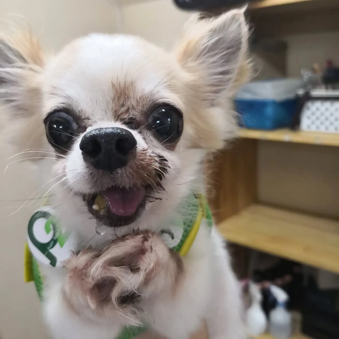 まだ開けてる、もう開けてる、ずっと開けてる